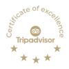 Gold TripAdvisor Certificate of Excellence badge with five stars and hotel ranking emblem, ideal for showcasing guest-reviewed award
