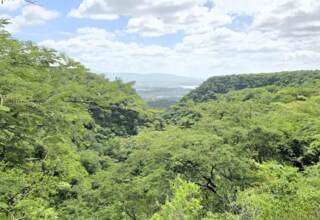 Expansive green valley with dense treetop canopy, distant plains and a low mountain ridge under a bright, partly cloudy sky.