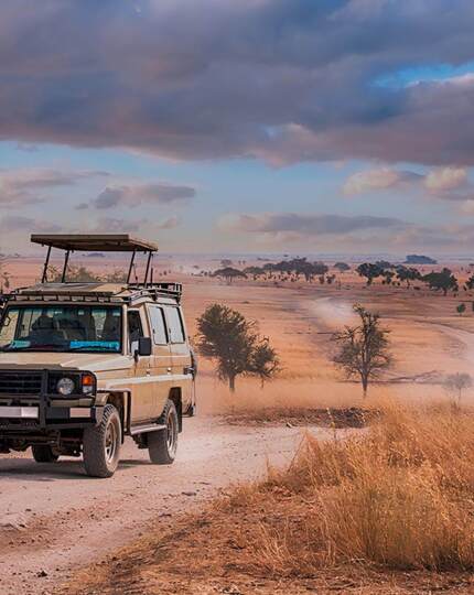 Open-top safari vehicle on dusty track through golden African savannah at sunset, guided game-drive with wide open views.