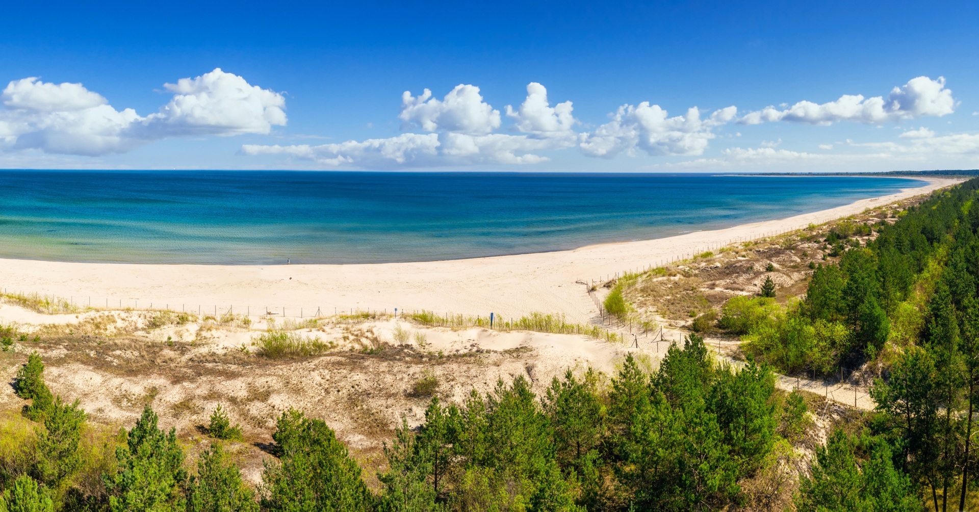 Vid sandstrand med turkis sjø, sanddyner og furuskog — rolig kystlandskap og tursti.