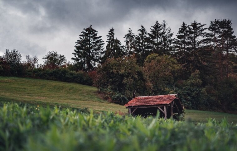 Oedelsheim Das idyllische Fachwerkdorf an der Weser Hotel Kronenhof