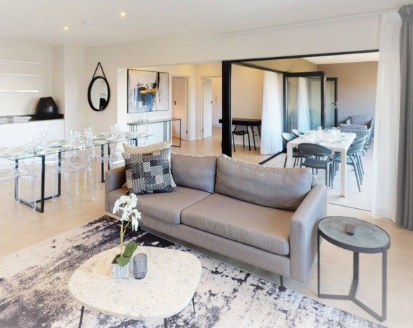 Snapshot of Mint Penthouse Apartment Renting Terms Attached