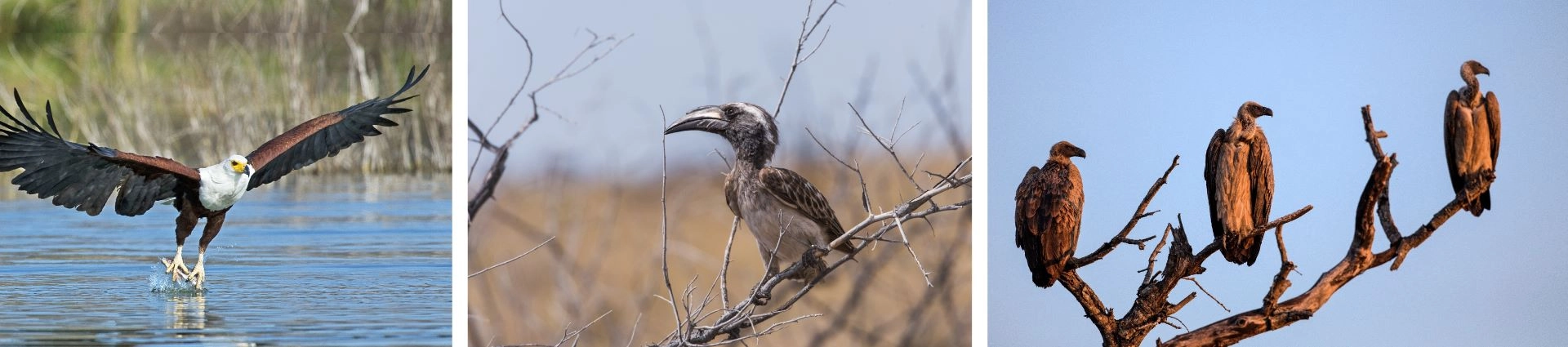 Photo of Namibia