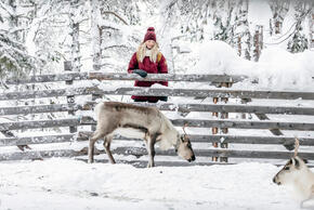 Mujer con abrigo rojo y gorro de punto apoyada en valla nevada mirando un reno en el bosque invernal