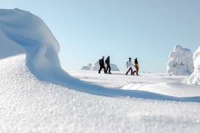 Quatro pessoas caminhando com raquetes por planalto nevado iluminado pelo sol com dunas esculpidas e árvores cobertas de geada sob céu azul claro.
