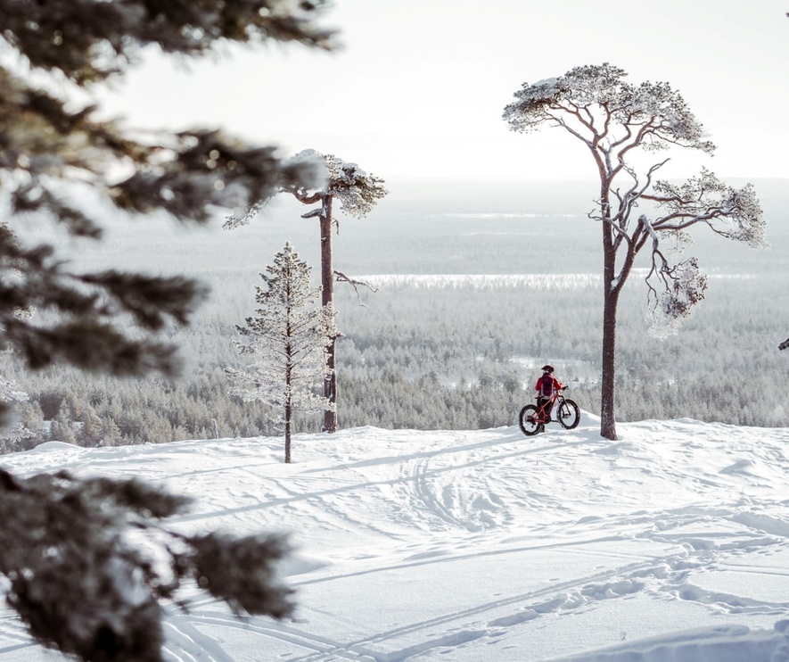 Crête enneigée avec un cycliste en fat‑bike près de grands pins, vue panoramique sur forêt hivernale et vallée